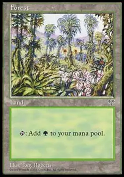 Forest - Light Play MTG Mirage - Image 1