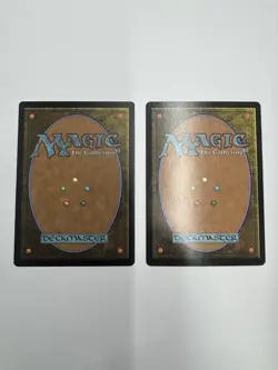 Magic the Gathering MTG Soulstone Sanctuary 2 Cards 1 Regular 1 Foil Foundations - Image 2