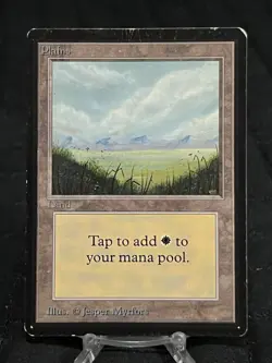 Plains (A) Beta Edition ~MP~ Magic The Gathering MTG - Image 1
