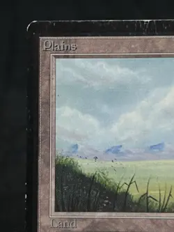 Plains (A) Beta Edition ~MP~ Magic The Gathering MTG - Image 3