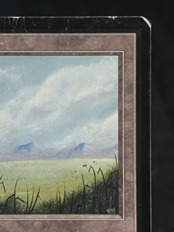 Plains (A) Beta Edition ~MP~ Magic The Gathering MTG - Image 4