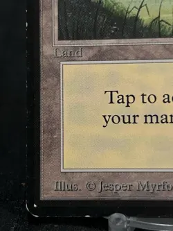 Plains (A) Beta Edition ~MP~ Magic The Gathering MTG - Image 5