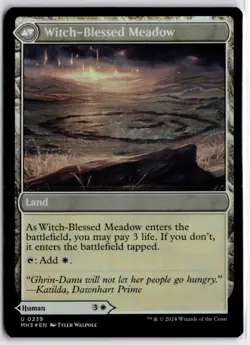 Foil | Witch Enchanter Witch-Blessed Meadow | [LP x1 MTG Magic: the Gathering - Image 2