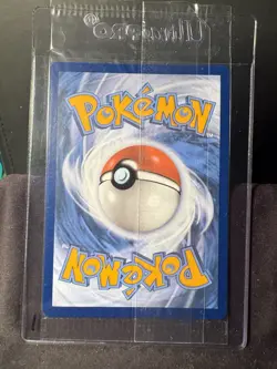 Scream Tail SVP EN 065 Paradox Rift Black Star Pokemon Promo SEALED - Image 4