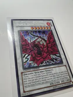 Yugioh Black Rose Dragon CT05-EN003 Secret Rare Limited Edition - Displays Well - Image 5