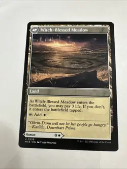 MTG Witch Enchanter (239) | NM | Modern Horizons 3 (MH3) - Image 2