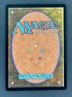 MtG - Full Set of 5x Guru Lands - Forest Island Mountain Plains Swamp - Magic - Image 3