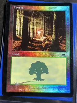 Forest (349) Onslaught Foil MTG - Image 1