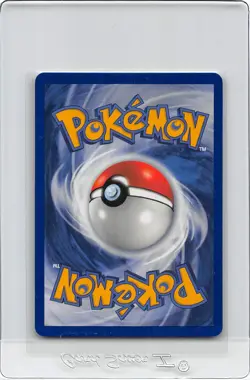SEALEO 31/95 - NON-HOLO UNCOMMON- Team Magma Vs Team Aqua - Pokemon Card - NM - Image 2