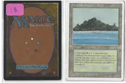 Tropical Island Revised Ed. - Lightly Played Dual Land Magic the Gathering - MTG - Image 1