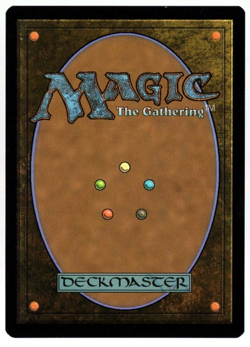 Soul Warden 1708 Borderless Rainbow Foil Julie Bell Secret Lair MTG Near Mint - Image 2