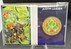 Pokemon Eif Origin 3.0 Gym Badge Grass Type Case Hit 22/38 Non-TCG - Image 2