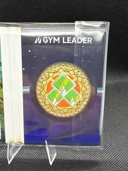 Pokemon Eif Origin 3.0 Gym Badge Grass Type Case Hit 22/38 Non-TCG - Image 4