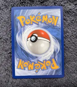 Riolu Pokemon Center Stamped Mega Evolution Promo Black Star NM 10 010 English - Image 3