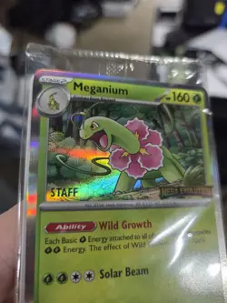 Pokemon Mega Evolution Prerelease Staff Promo Cards Sealed (Set Of 4) - Image 2