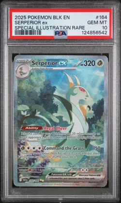 2025 Pokemon Black Bolt Serperior EX #164 SIR PSA 10 GEM MINT - Image 1