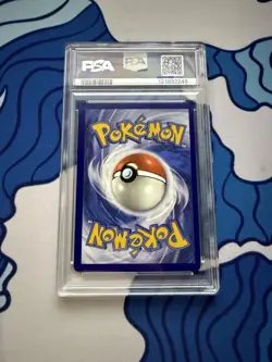 Pokemon Squirtle TCG Stellar Crown Illustration Rare Holo Card 148/142 PSA 8 - Image 2