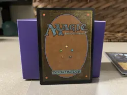 Sudden Spoiling Time Spiral Remastered Regular Non Foil Near Mint Black MTG NM - Image 2