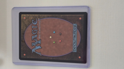 Hallowed Fountain Return to Ravnica Regular - Image 4