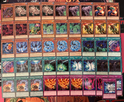 YUGIOH - WATER DRAGON DINOSAUR DECK - DUOTERION, CLUSTER, DOGORAN, TYRANNO ~ - Image 1