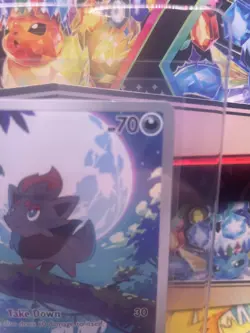 Pokemon Zorua 142/086 White Flare Illustration Rare Pokemon TCG Card NM 2025 - Image 4