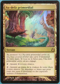Primal Beyond FOIL Morningtide (FRENCH) PLD Land Rare CARD (295699) ABUGames - Image 1