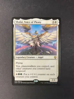Shalai, Voice of Plenty - Dominaria - Magic the Gathering - MTG - Image 1