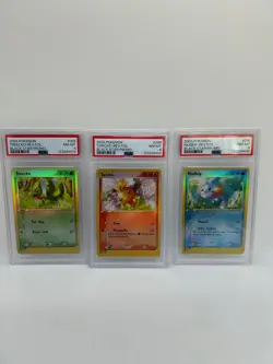 Pokemon Treecko 003, Torchic 008, Mudkip 010 Black Star PSA 8 Promo Set Reverse - Image 1