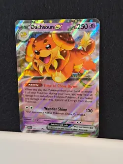067/142 Dachsbun ex : Double Rare Holo Card : Stellar Crown : Pokemon TCG NM/MT - Image 1