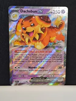 067/142 Dachsbun ex : Double Rare Holo Card : Stellar Crown : Pokemon TCG NM/MT - Image 2
