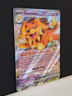 067/142 Dachsbun ex : Double Rare Holo Card : Stellar Crown : Pokemon TCG NM/MT - Image 3