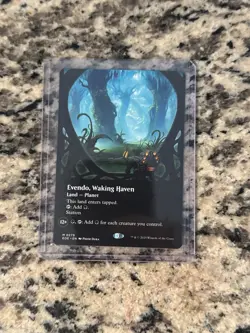 Magic the Gathering - Evendo, Waking Haven Borderless - MYTHIC - EOE - Mint - Image 1