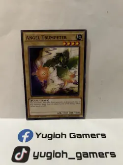 Yu-Gi-Oh ANGEL TRUMPETER SHVI-EN001 1st EDITION COMMON LP - Image 1
