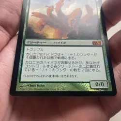 1xMTG Kalonian Hydra-Magic 2014-MP Foil Japanese - Image 3
