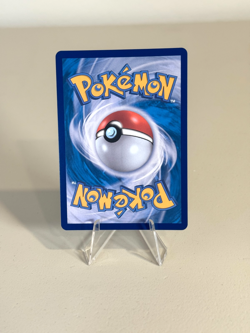 Pokemon Card Lot of 20! Terapagos ex SAR, Palafin IR, Charmander Holo + More - Image 3