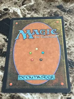 DESOLATION Magic the Gathering MTG Visions HP - Image 2