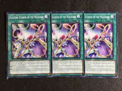 3x YuGiOh! Fleeting Flower of the Magician DOOD-EN089 Common 1st Edition Near NM - Image 1