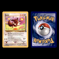 Pokemon Card Lot Sylveon ex 041/131 Vaporeon ex 023/131 Jungle Eevee 12 Cards NM - Image 3