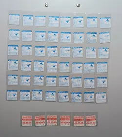 Pokemon 151 Mini GB Pocket Cards "BROS CARD" Kanto Lot 1997 Nintendo Japanese - Image 4