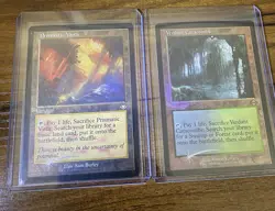 Verdant Catacombs and Prismatic Vista (Retro Frame) - Image 1