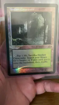 Verdant Catacombs and Prismatic Vista (Retro Frame) - Image 2