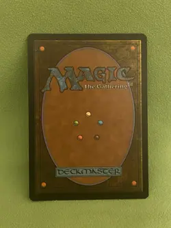 Spider-Punk Foil Borderless 0207 Marvel’s Spider-Man Magic MTG NM SPM EN - Image 2