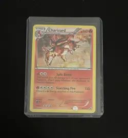 Pokemon Card - Charizard - B&W Legendary Treasures - Holo Rare - 19/113 - NM - Image 1