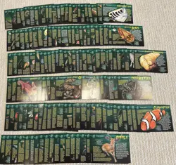 98% COMPLETE Weird n Wild Creatures LOT 1800+ (~892 Info, ~950 Trading Cards) - Image 4