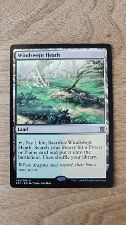 Windswept Heath Khans of Tarkir Regular, LP - Image 1