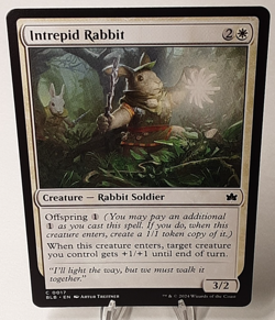 MTG - Bloomburrow - Intrepid Rabbit - #0017 - Playset x4 - Near Mint - Image 1