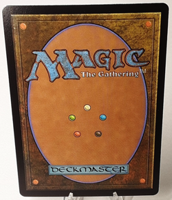 MTG - Bloomburrow - Intrepid Rabbit - #0017 - Playset x4 - Near Mint - Image 3