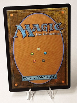 MTG - Bloomburrow - Skyskipper Duo - #0071 - Playset x4 - Near Mint - Image 3