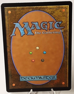 MTG - Bloomburrow - Mudflat Village - #0257 - Playset x4 - Near Mint - Image 3