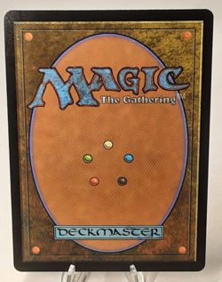 MTG - Bloomburrow - Plains - Full Art - #0262 - Playset x4 - Near Mint - Image 3